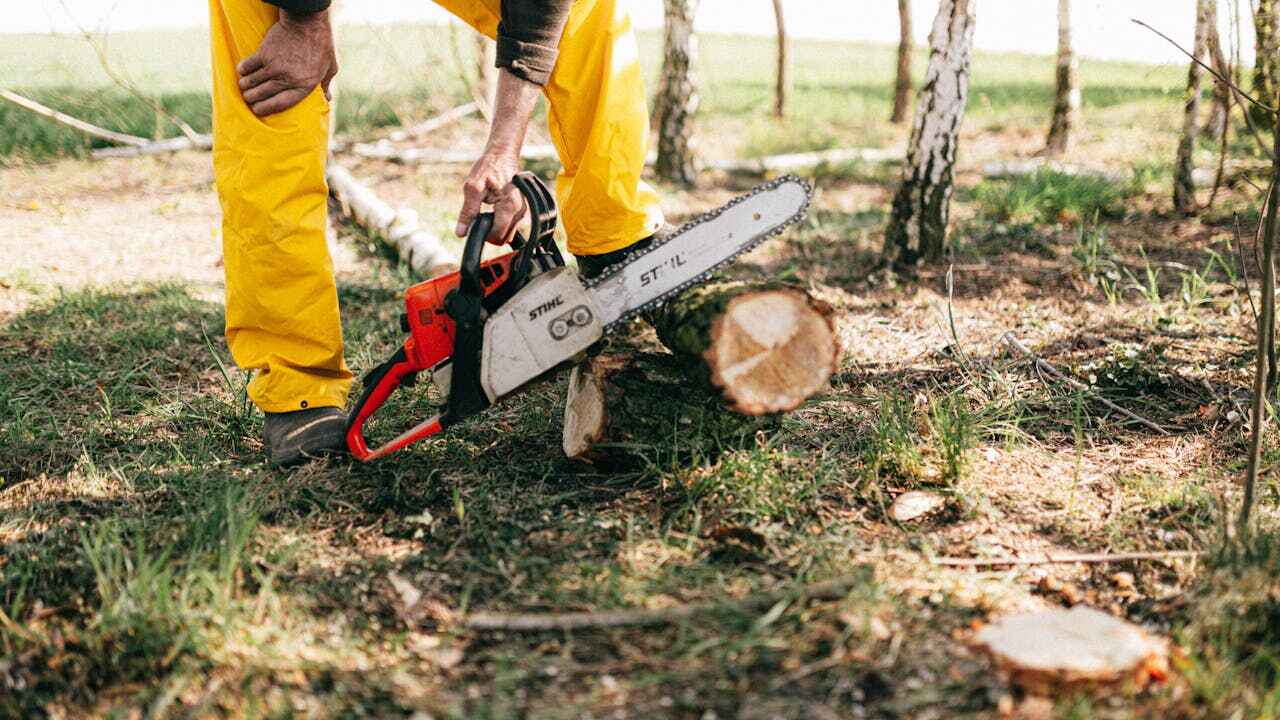 Best Tree Pruning Services  in Dade City, FL